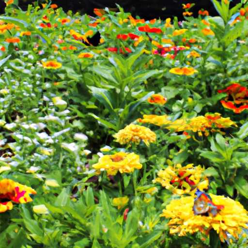 The Joy of Creating a Butterfly Haven in Your Garden