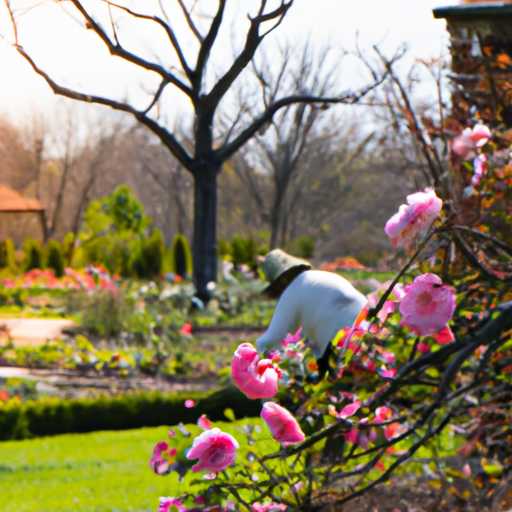 Exploring the Joy of Pruning Your Roses in Nashville