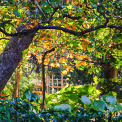 Enhancing Your Garden with Eco-Friendly Pruning Techniques